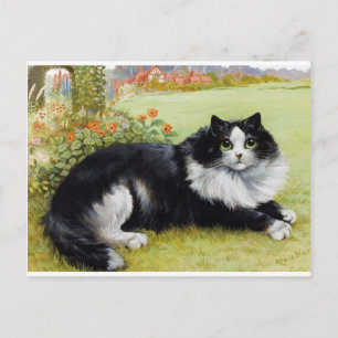 Louis Wain Cat, Black & White Cat Postkarte