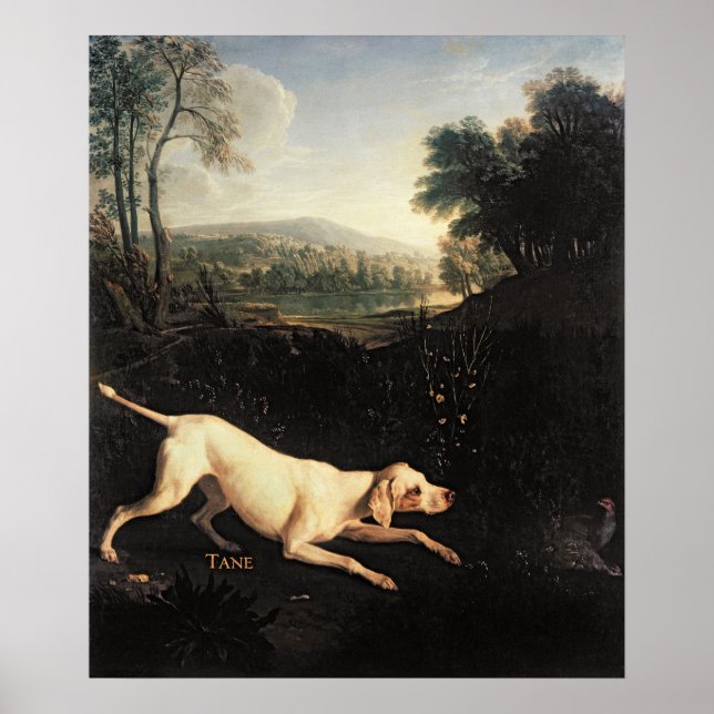 Louis XIV's Hund, Tane Poster (Vorne)