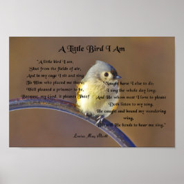 Louisa May Alcott, ein kleiner Vogel, ich bin Poster