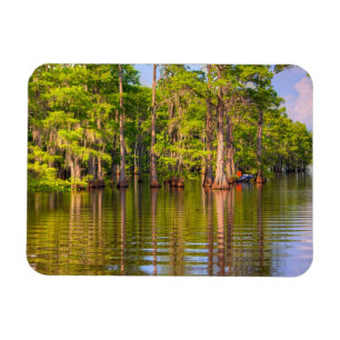 Louisiana Bayou Foto Magnet
