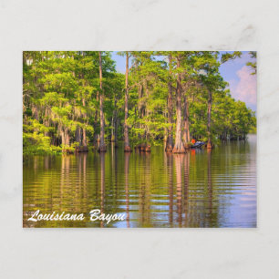 Louisiana Bayou Postkarte