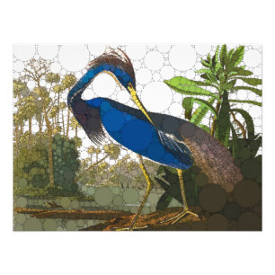 Louisiana Blue Heron von After John James Audubon Fotodruck