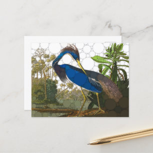 Louisiana Blue Heron von After John James Audubon Postkarte