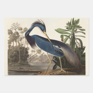 Louisiana Blue Heron von John Jay Audubon Geschenkpapier Set