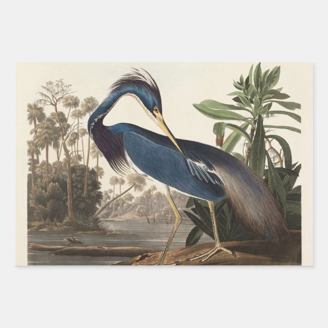 Louisiana Blue Heron von John Jay Audubon Geschenkpapier Set (Vorderseite 3)