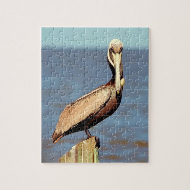 Louisiana Brown Pelican 4.jpg Puzzle (Vertikal)