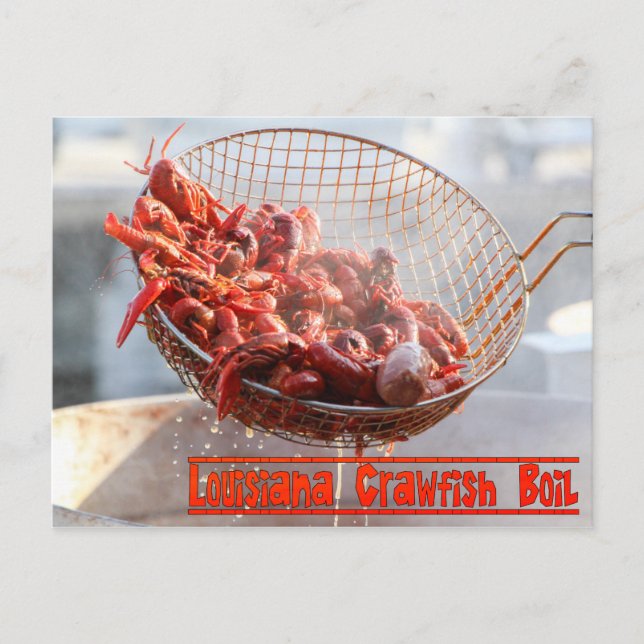 Louisiana Crawfish Boil Postkarte (Vorderseite)