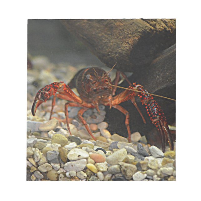 Louisiana Crawfish Notizblock (Vorderseite)