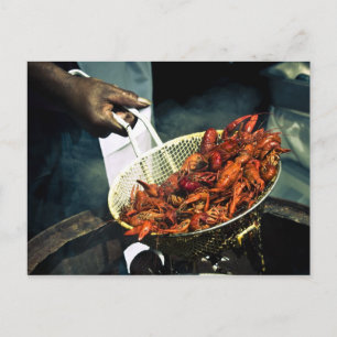 Louisiana Crawfish Postkarte