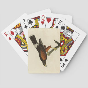 Louisiana (Harris's Hawk Audubon Birds of America Spielkarten