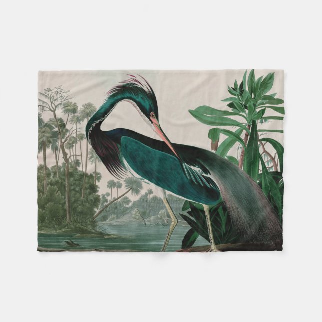 Louisiana Heron Birds of America Audubon Print Fleecedecke (Vorderseite (Horizontal))