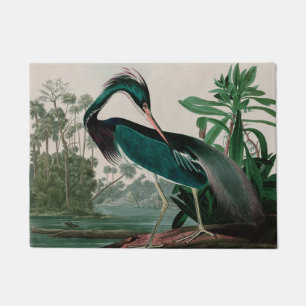 Louisiana Heron Birds of America Audubon Print Fußmatte