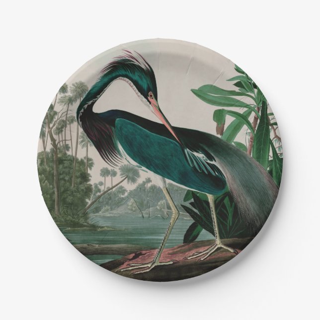 Louisiana Heron Birds of America Audubon Print Pappteller (Vorderseite)