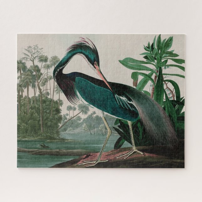 Louisiana Heron Birds of America Audubon Print Puzzle (Horizontal)