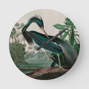 Louisiana Heron Birds of America Audubon Print Runde Wanduhr