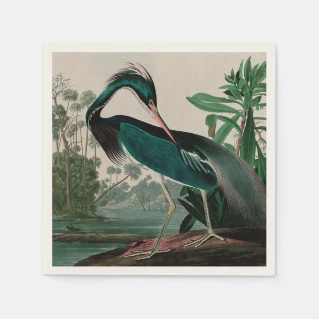 Louisiana Heron Birds of America Audubon Print Serviette (Vorderseite)