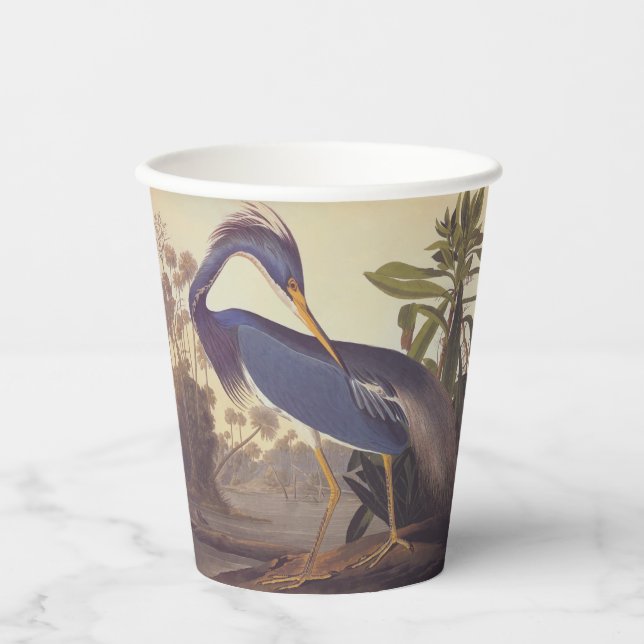 Louisiana Heron oder Trikolore Heron von Audubon Pappbecher (Vorderseite)
