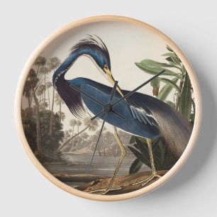 Louisiana Heron von Audobon Wall Clock Uhr
