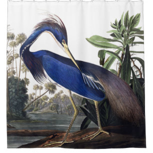 Louisiana Heron von Audubon Vintag Wildlife Bird Duschvorhang