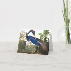 Louisiana Heron von John James Audubon Dankeskarte