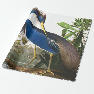 Louisiana Heron von John James Audubon Geschenkpapier
