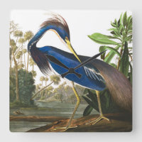 Louisiana Heron von John James Audubon