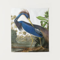 Louisiana Heron von John James Audubon