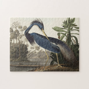 Louisiana Heron von Vögeln Amerikas Puzzle