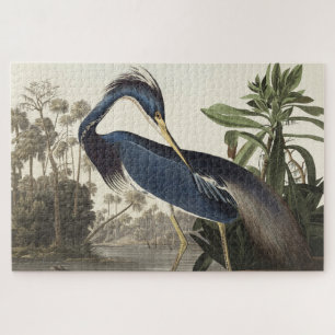 Louisiana Heron von Vögeln Amerikas Puzzle