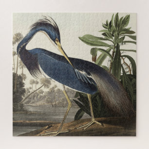 Louisiana Heron von Vögeln Amerikas Puzzle