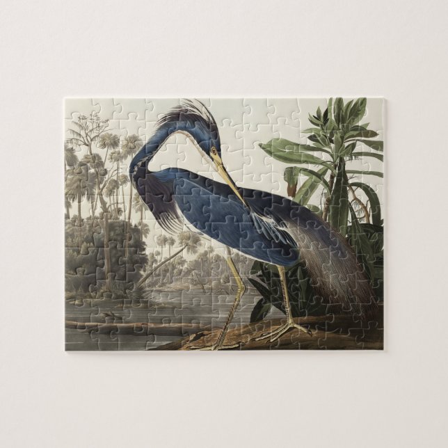 Louisiana Heron von Vögeln Amerikas Puzzle (Horizontal)