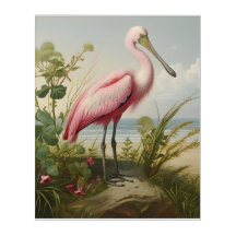 Louisiana-Küste: Rosépartement Spoonbill
