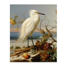 Louisiana Küste: Snowy Egret