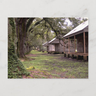 Louisiana Plantation Postkarte