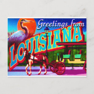Louisiana Postcard Postkarte