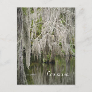 Louisiana Postcard Postkarte