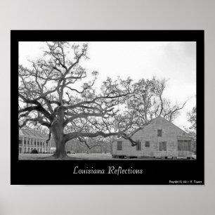 Louisiana-Reflexionen Poster