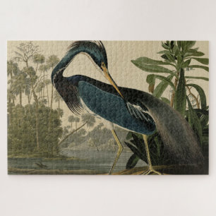 Louisiana-Reiher - aus Audubons Birds of America Puzzle