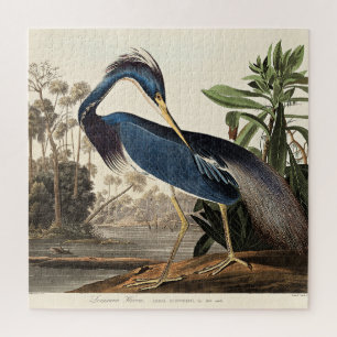 Louisiana-Reiher aus Birds of America Puzzle