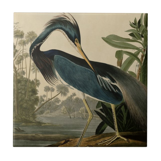 Louisiana-Reiher Fliese (Vorderseite)