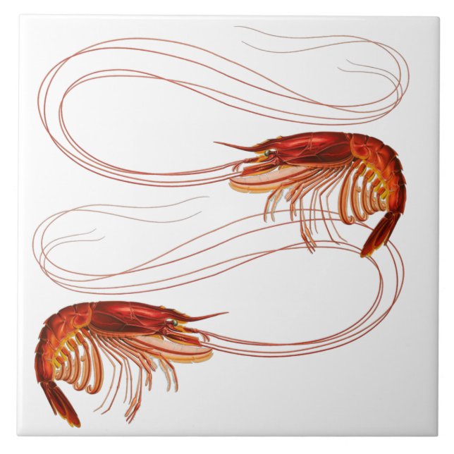 Louisiana Shrimp Fliese (Vorderseite)