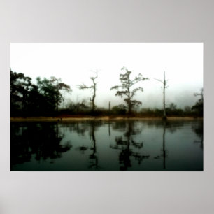 Louisiana Swamp Morning Poster
