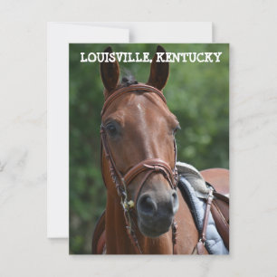 LOUISVILLE KENTUCKY RACE HORE Postkarte