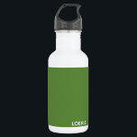 Lounge grüne Farbe Edelstahlflasche<br><div class="desc">Lounge grüne Farbe</div>
