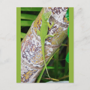 Lounge Lizard Green Gecko Postkarte