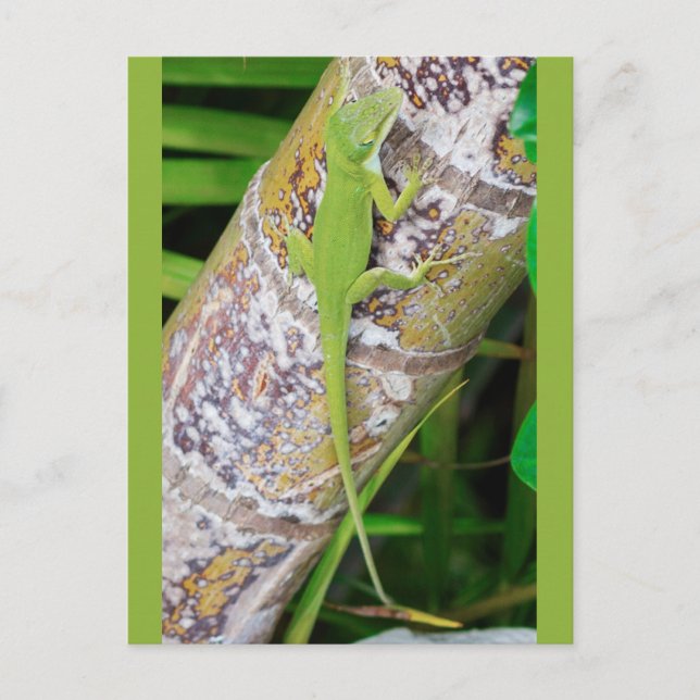 Lounge Lizard Green Gecko Postkarte (Vorderseite)