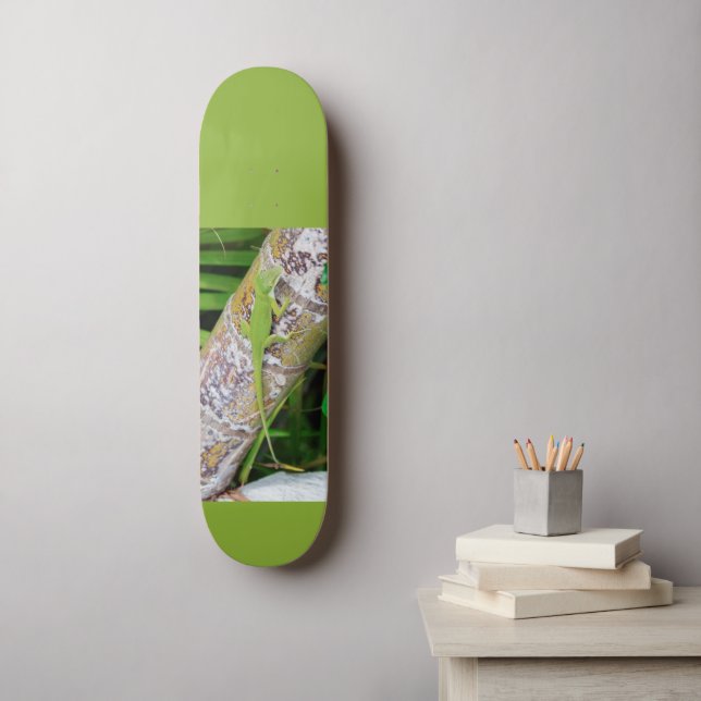 Lounge Lizard Green Gecko Skateboard (Wandkunst)
