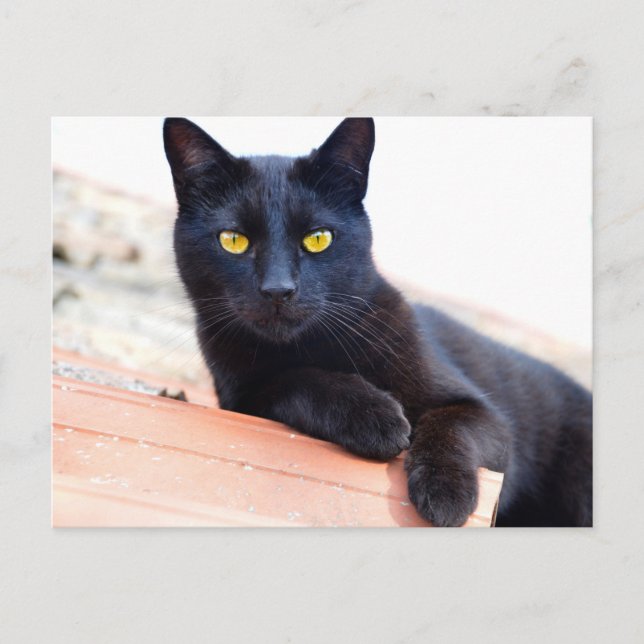 Lounge um die Postkarte herum (Vorderseite)