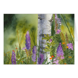 Loupins und Birkenbäume