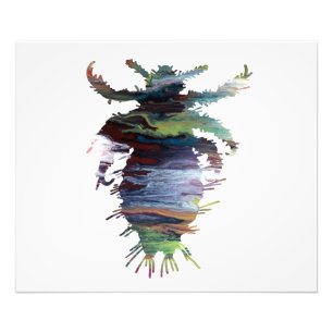 Louse Fotodruck